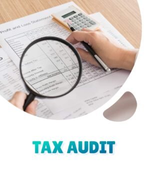 Professional Tax